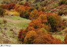 رنگ در رنگ در آبشار بیشه