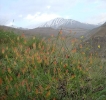 روستای نشتارود و قله خونکار