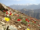 روستای نشتارود و قله خونکار