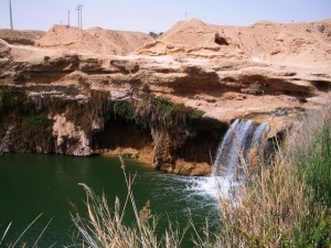 برازجان