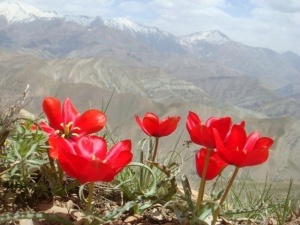 روستای نشتارود و قله خونکار