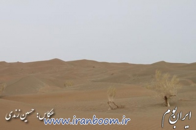 کویر لوت بخش نصرت آباد در استان سیستان و بلوچستان_7