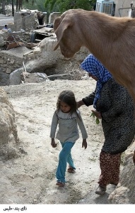 روستای نایبند